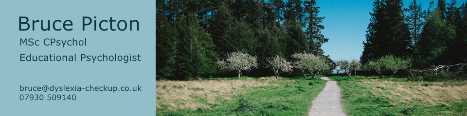 masthead for Bruce Picton, dyslexia assessment